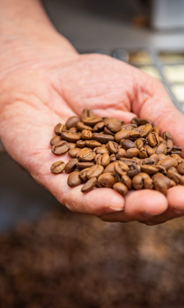 484828304_718259120581340_2728858259376088595_n