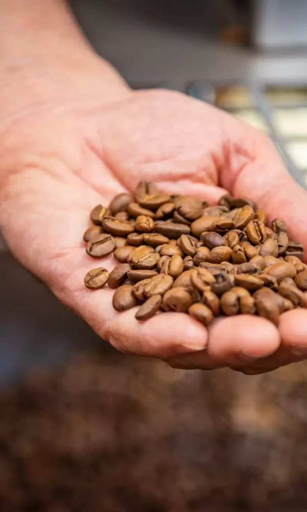 484828304_718259120581340_2728858259376088595_n