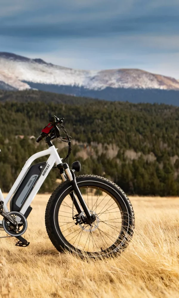 himiway-bikes-Go4eeazV3LE-unsplash